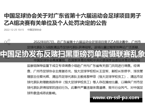 中国足协发布反赌扫黑重磅罚单震慑联赛乱象