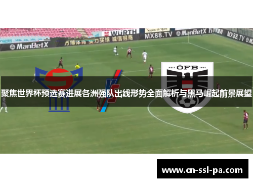 聚焦世界杯预选赛进展各洲强队出线形势全面解析与黑马崛起前景展望